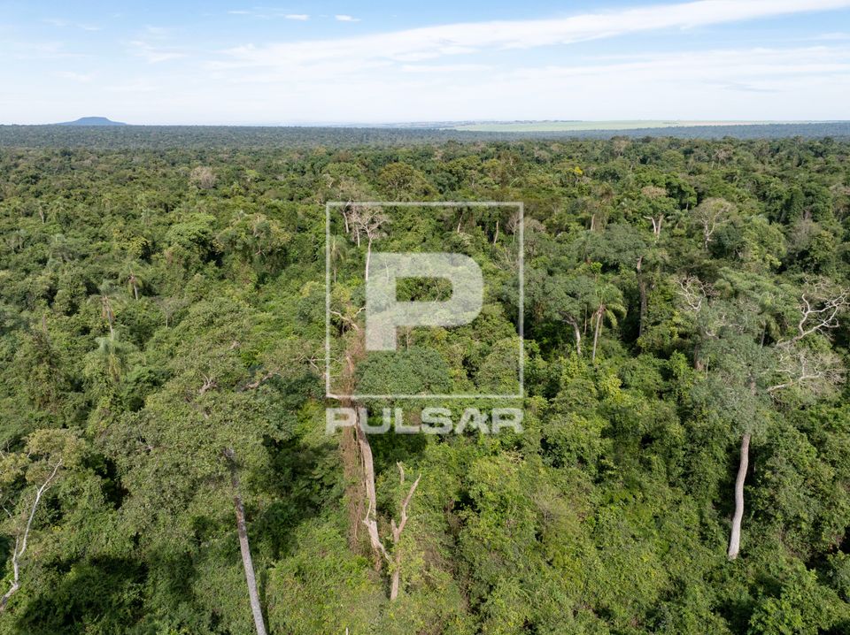 Vista de drone da Mata Atlântica no Parque Estadual Morro do Diabo - preserva uma das últimas grandes áreas