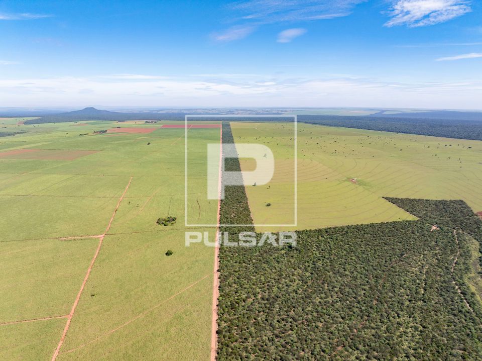 Vista de drone de corredor florestal do Projeto Corredores de Vida ente canavial e pasto de fazenda — restau