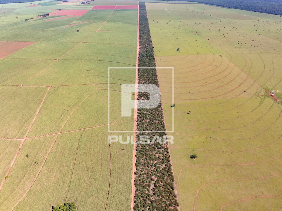 Vista de drone de corredor florestal do Projeto Corredores de Vida ente canavial e pasto de fazenda — restau