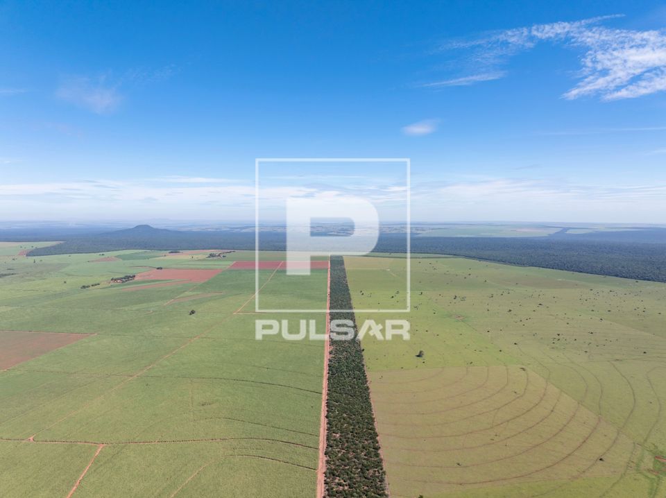 Vista de drone de corredor florestal do Projeto Corredores de Vida ente canavial e pasto de fazenda — restau
