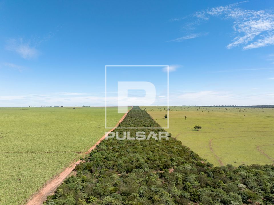 Vista de drone de corredor florestal do Projeto Corredores de Vida ente canavial e pasto de fazenda — restau