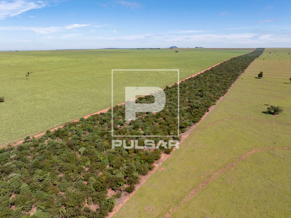 Vista de drone de corredor florestal do Projeto Corredores de Vida ente canavial e pasto de fazenda — restau