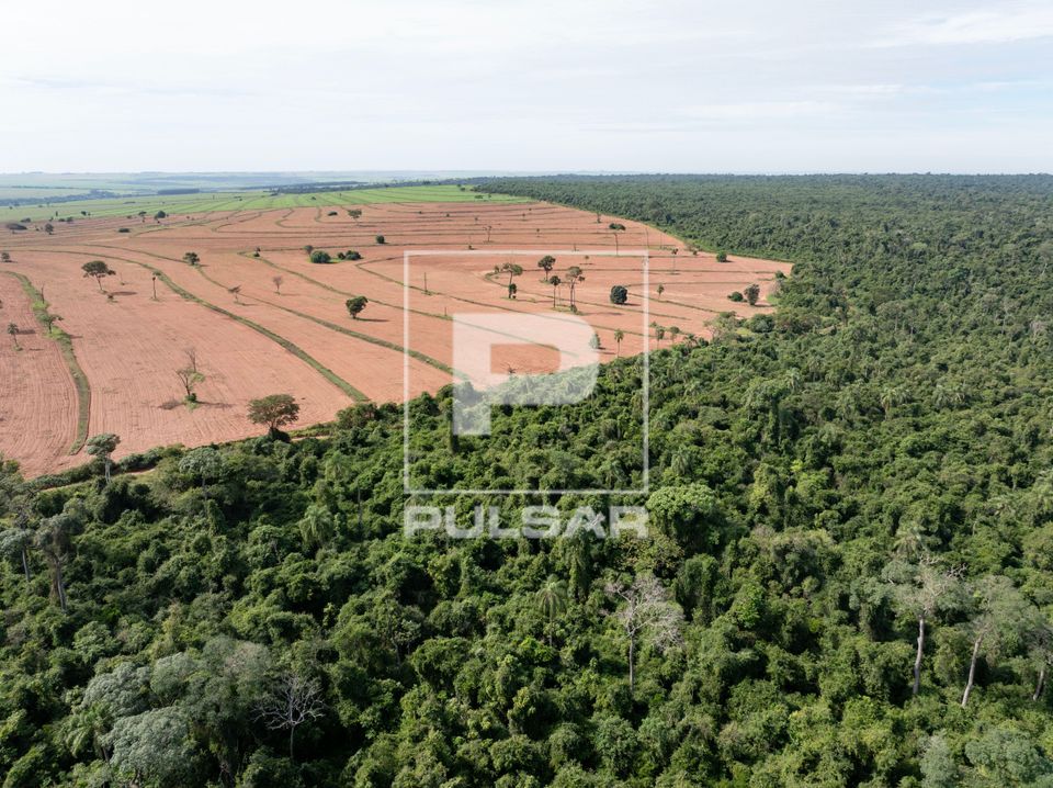 Vista de drone da Mata Atlântica preservada no Parque Estadual Morro do Diabo e clareira de plantio de grãos
