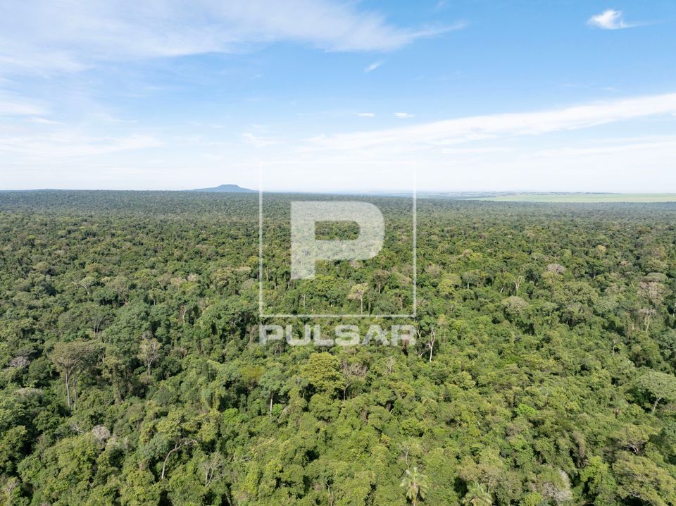 Vista de drone da Mata Atlântica no Parque Estadual Morro do Diabo - preserva uma das últimas grandes áreas