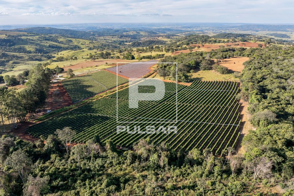 Vista de drone de plantação de tomate envarado 