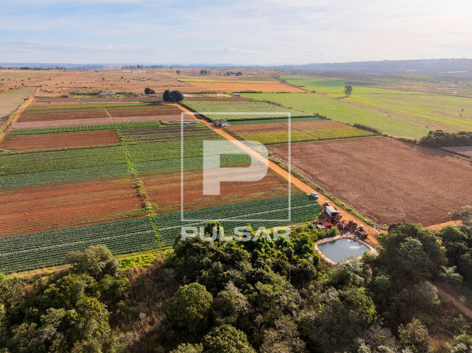 Vista de drone de canteiros de hortaliças - agricultura familiar