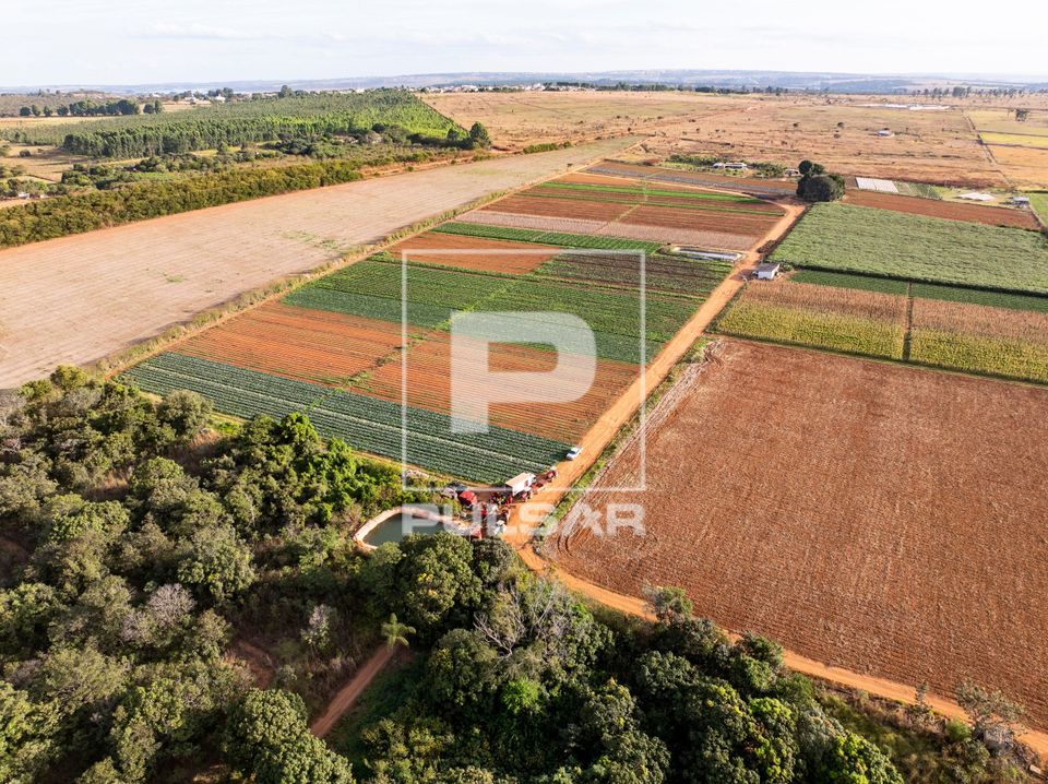 Vista de drone de canteiros de hortaliças - agricultura familiar