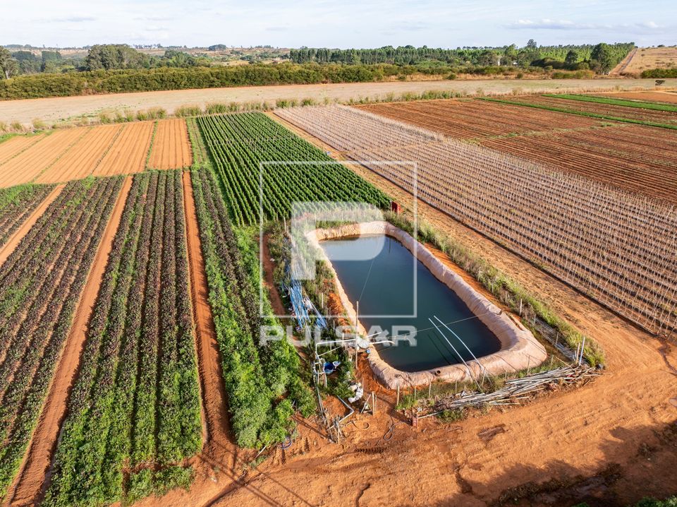 Vista de drone de canteiros de hortaliças e tanque para irrigação - agricultura familiar