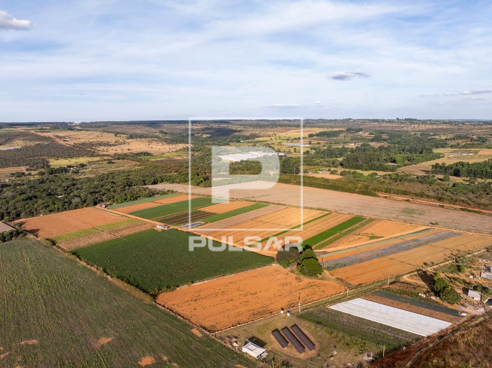 Vista de drone de plantação de hortaliças - agricultura familiar