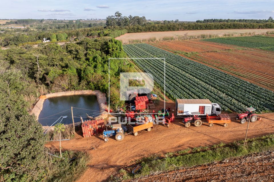 Vista de drone de canteiros de hortaliças e tanque de água para irrigação - agricultura familiar