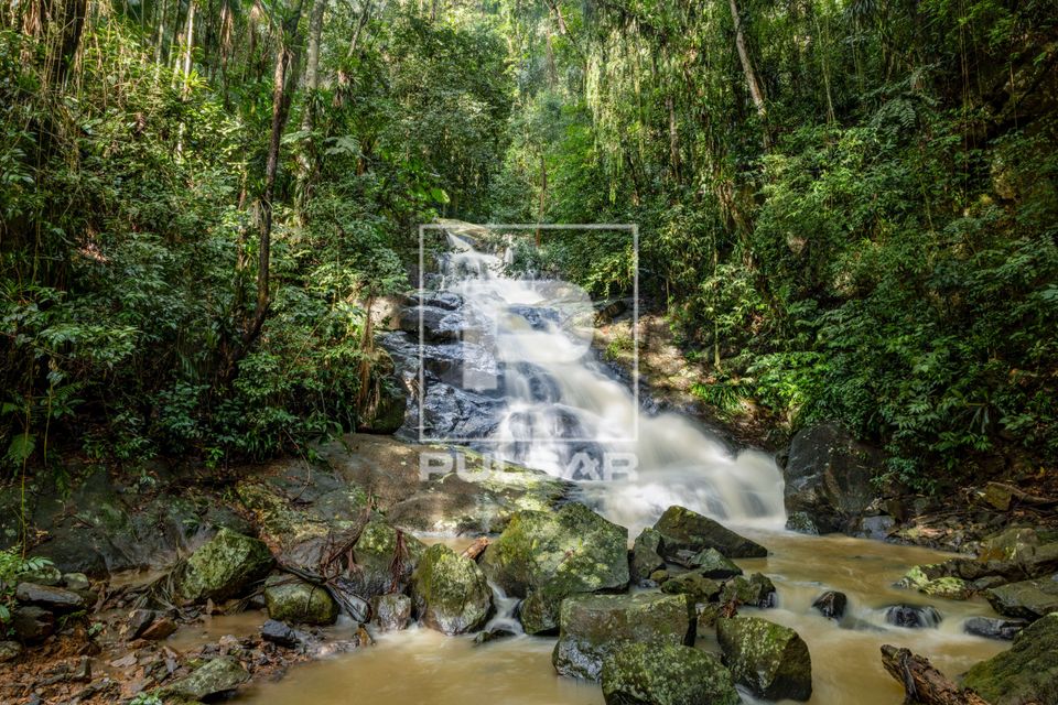 Cachoeira do Parque Natural Municipal Claus Feldmann - distrito Vila Itoupava