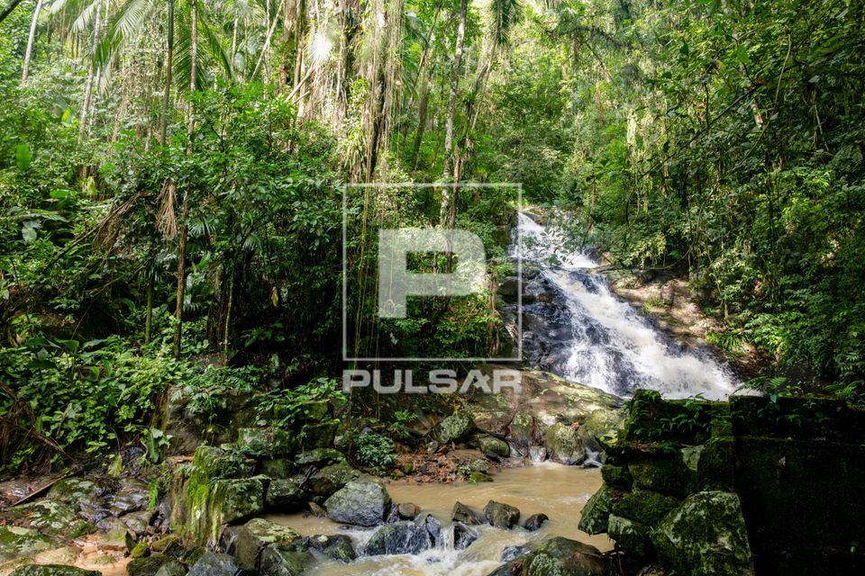 Cachoeira do Parque Natural Municipal Claus Feldmann - distrito Vila Itoupava