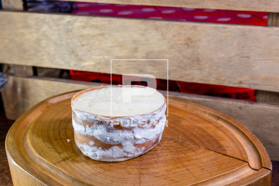 Queijo com mofo branco pronto para consumo em loja da fábrica