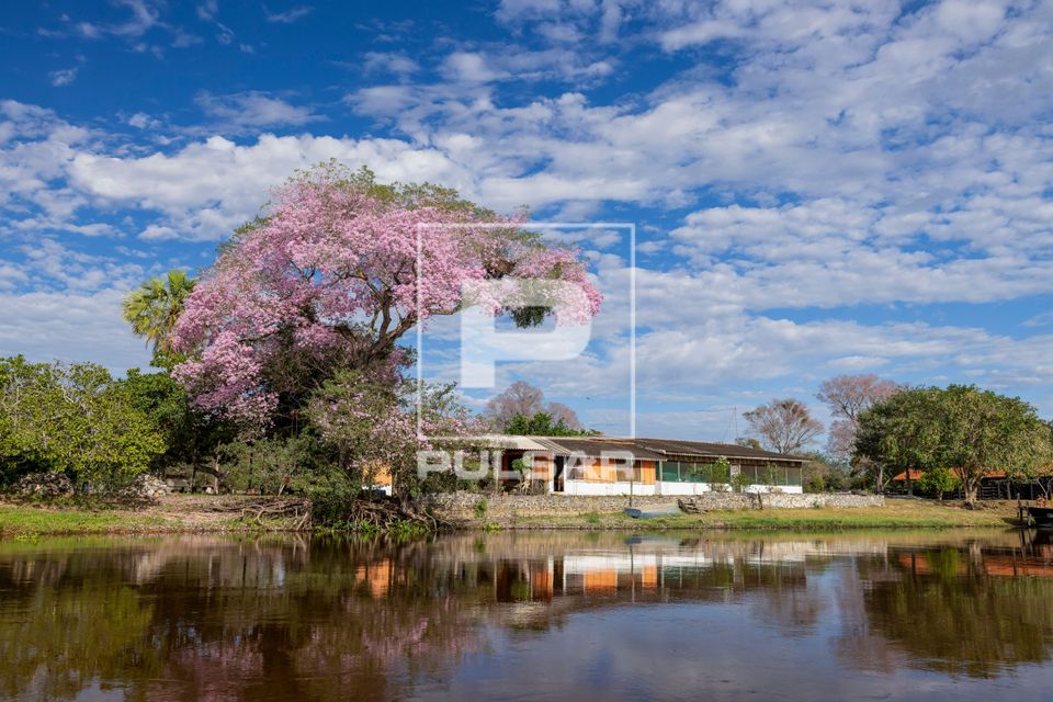 Moradias de ribeirinhos na margem do Rio Paraguai na sub-região Pantanal do Paraguai - Pantanal Sul