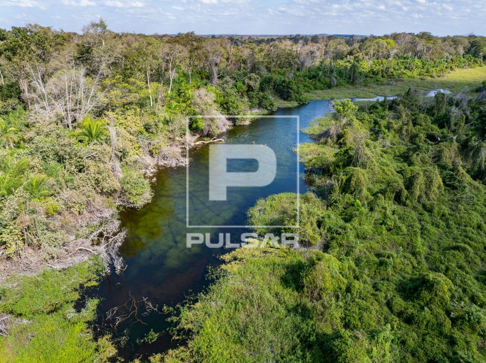 Vista de drone de corixo formado pela cheia do Rio Salobra - Pantanal de Miranda - Pantanal Sul
