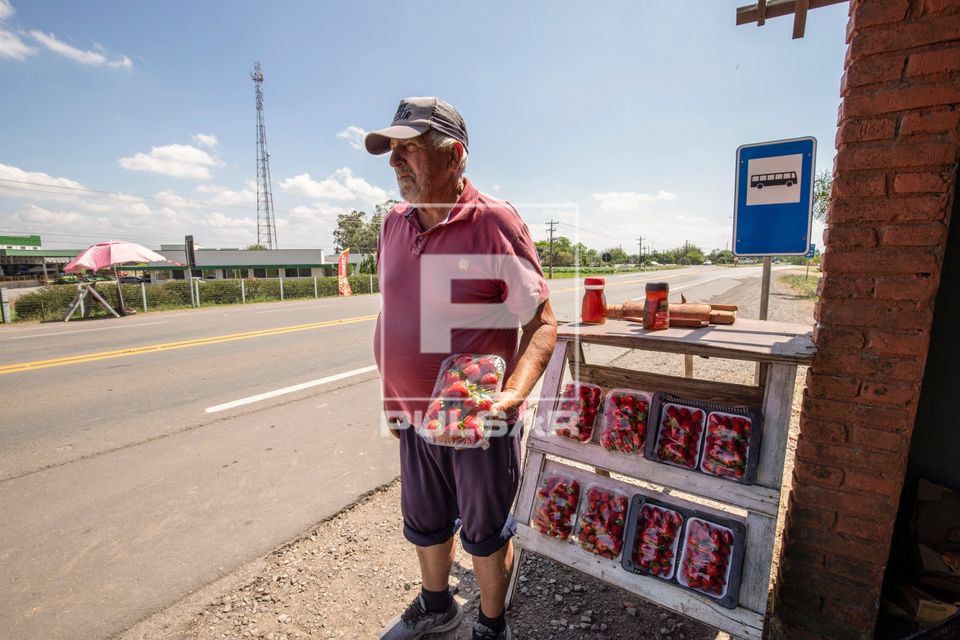 Produtor rural vendendo moranguinhos produzidos em sua propriedade na margem da BR-287
