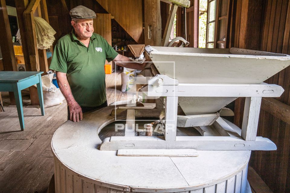 Moinho Colonial de 1920 - moleiro operando moenda de pedra movida pela roda-d'água para produção de farinha