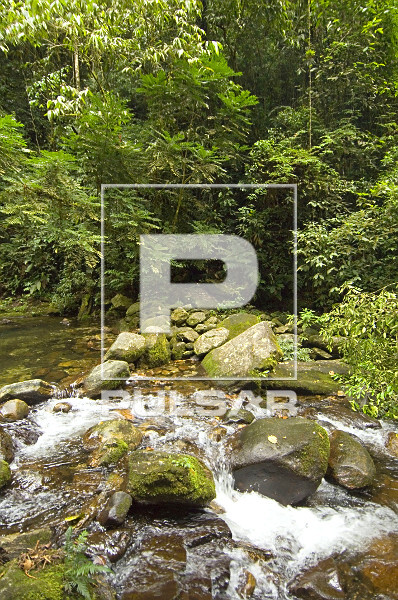 Cachoeira em area de mata atlantica - sertao de Camburi