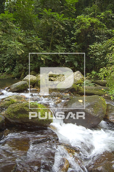 Cachoeira em area de mata atlantica - sertao de Camburi