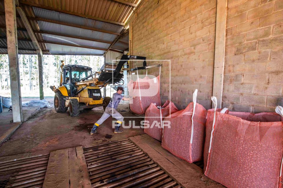 Trator com sistema hidráulico descarregando big-bag com 500 kg de nozes-pecã recém colhidas