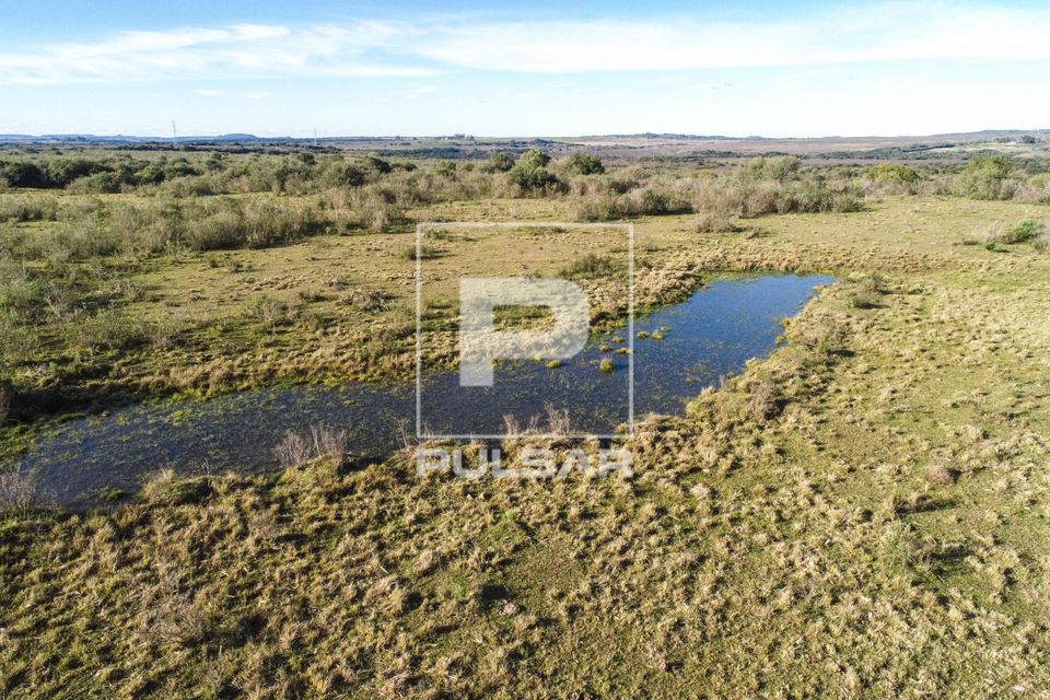 Vista de drone de campos da Área de Proteção Ambiental do Ibirapuitã - bioma Pampa