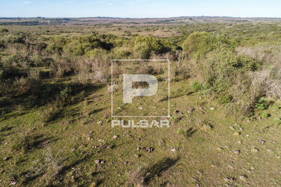 Vista de drone de campos da Área de Proteção Ambiental do Ibirapuitã - bioma Pampa