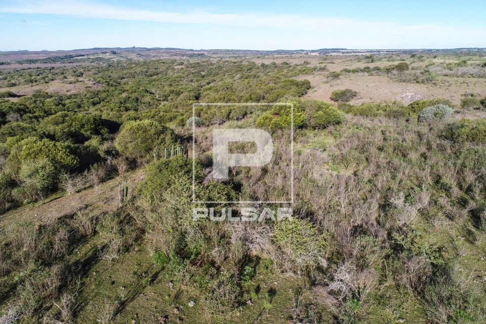 Vista de drone de campos da Área de Proteção Ambiental do Ibirapuitã - bioma Pampa