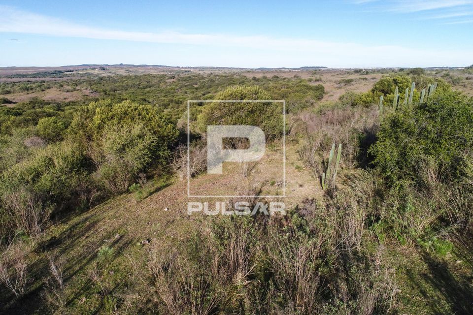 Vista de drone de campos da Área de Proteção Ambiental do Ibirapuitã - bioma Pampa