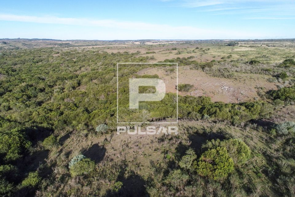 Vista de drone de campos da Área de Proteção Ambiental do Ibirapuitã - bioma Pampa