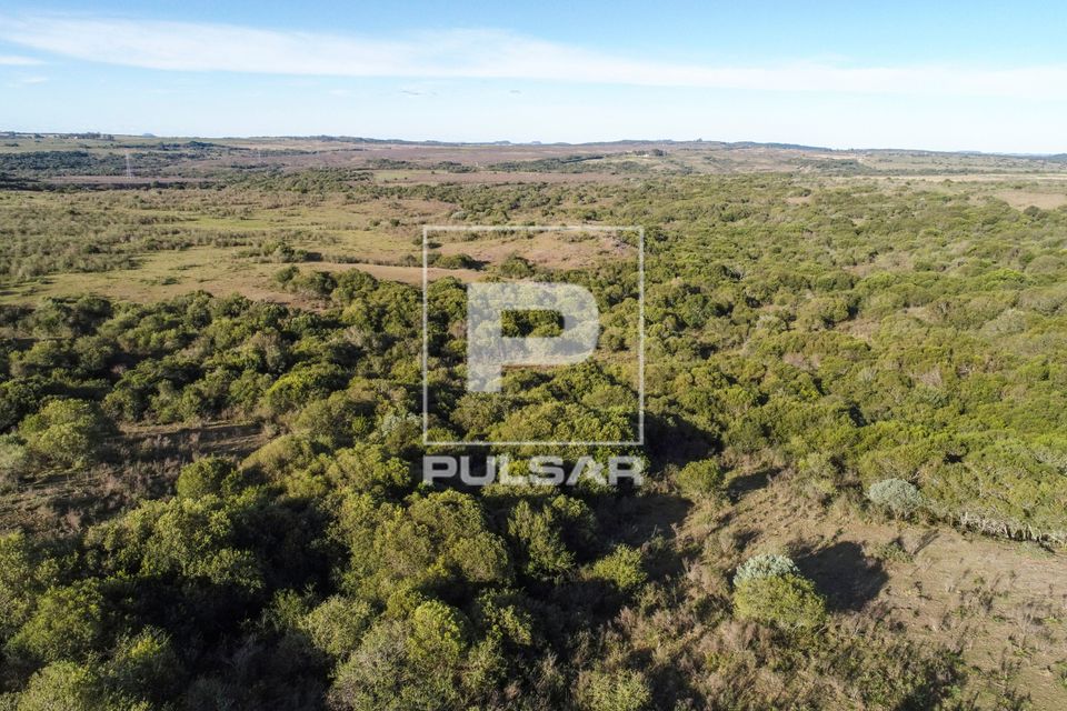 Vista de drone de campos da Área de Proteção Ambiental do Ibirapuitã - bioma Pampa