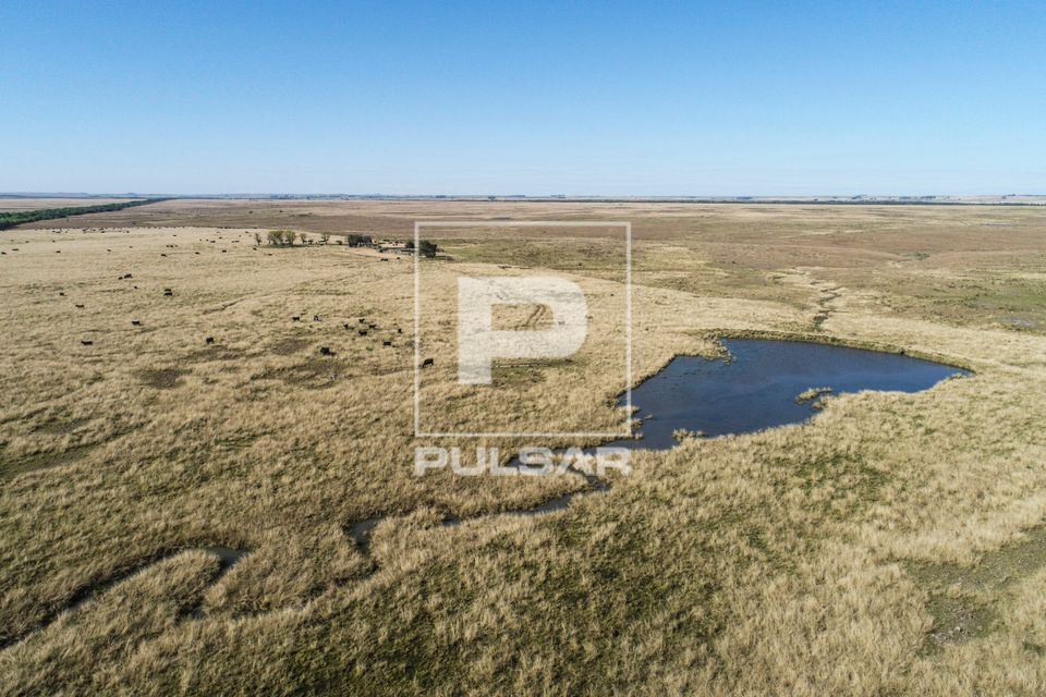 Vista de drone de criação de gado e açude em campos na Área de Proteção Ambiental do Ibirapuitã - bioma