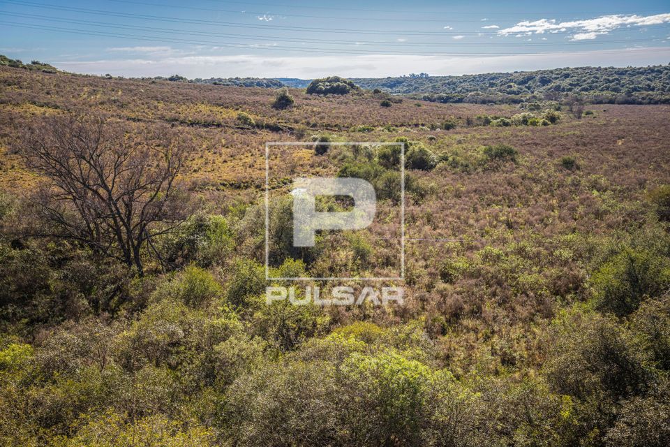 Campos da Área de Proteção Ambiental do Ibirapuitã - bioma Pampa