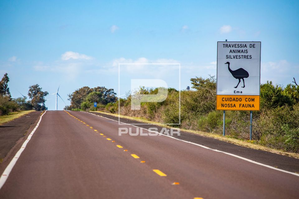 Placa alerta sobre travessia de animais silvestres na Rodovia BR-293 na Área de Proteção Ambiental do Ibira