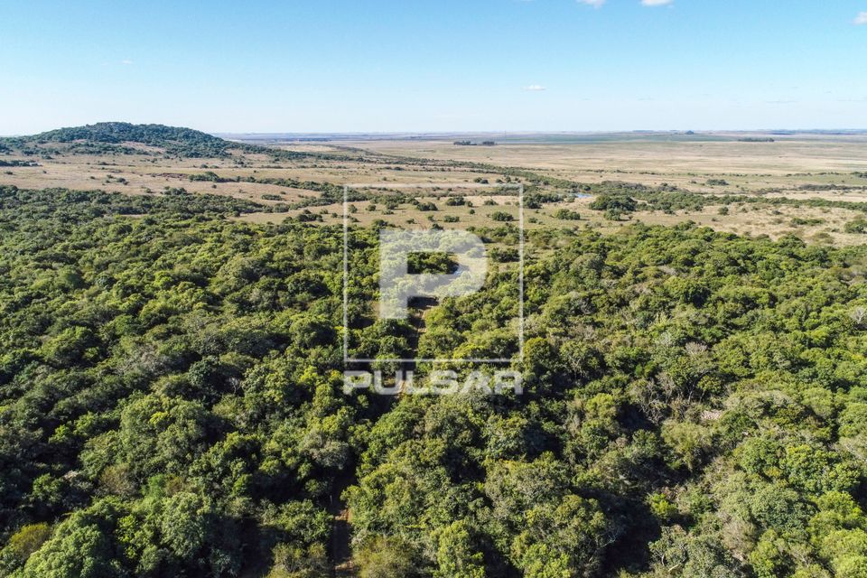 Vista de drone do Cerro do Jarau - cadeia de morros no pampa gaúcho