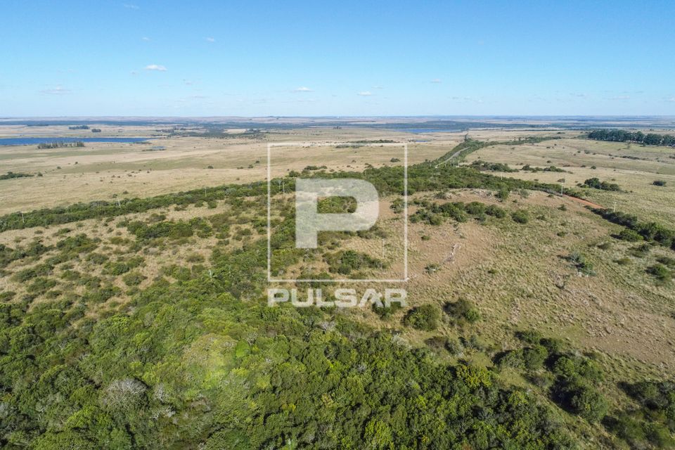 Vista de drone de campos do pampa gaúcho na região do Cerro do Jarau 