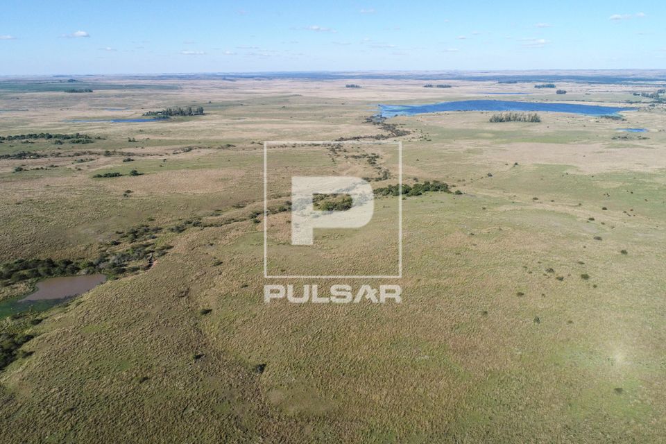 Vista de drone de açude formado a partir do represamento de pequeno curso d'água em campos do pampa gaúcho 