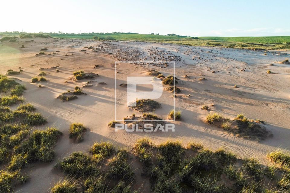 Vista de drone de local onde houveram tentativas frustradas de recuperação com a introdução de espécies v