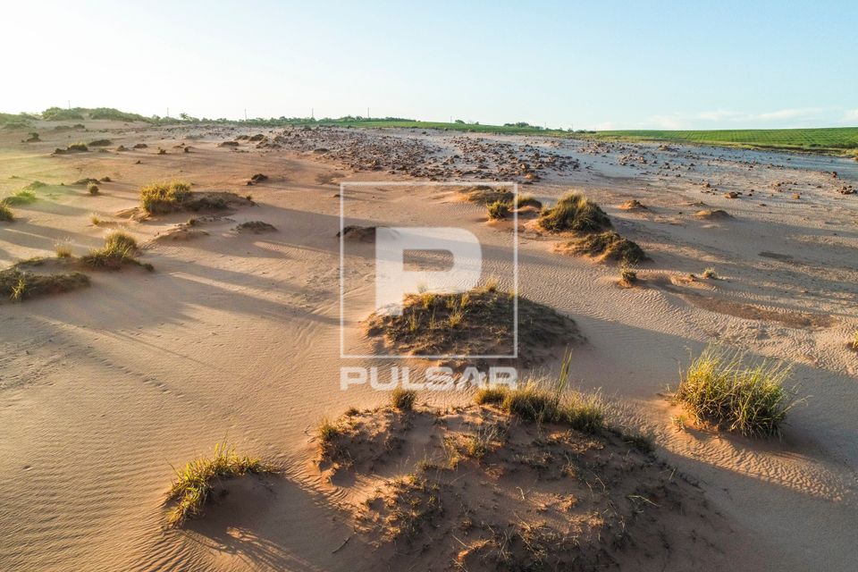 Vista de drone de local onde houveram tentativas frustradas de recuperação com a introdução de espécies v