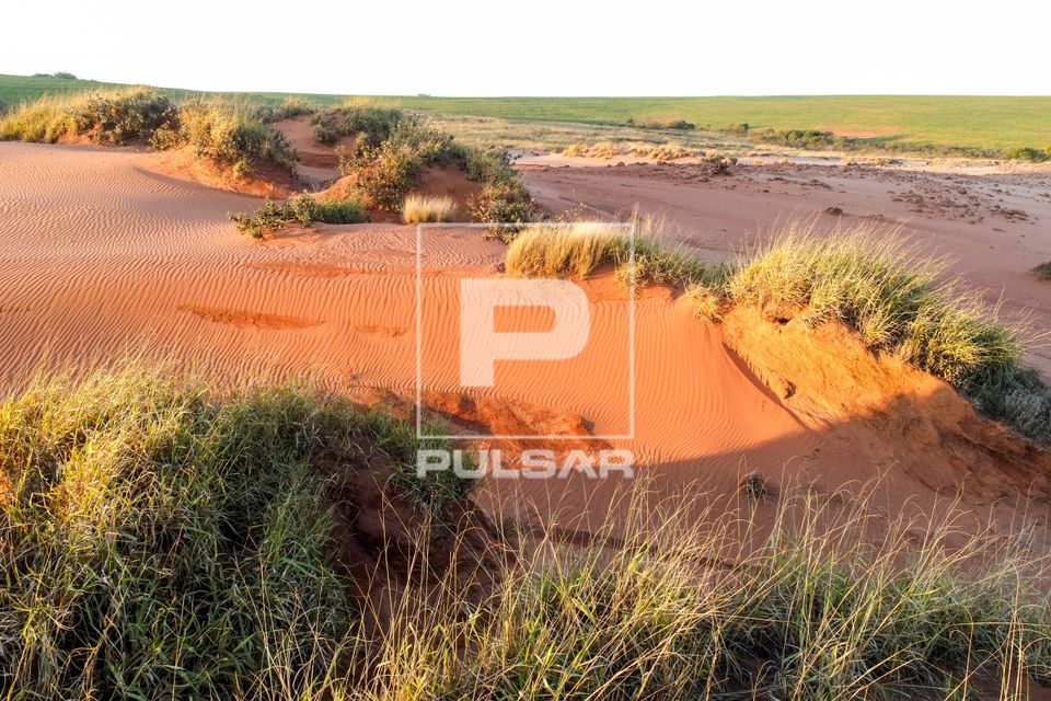 Vista de drone de local onde houveram tentativas frustradas de recuperação com a introdução de espécies v