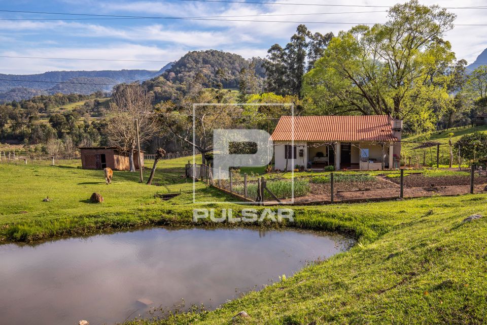 Pequena propriedade rural com moradia , horta , pasto e aguada - local para o gado beber água