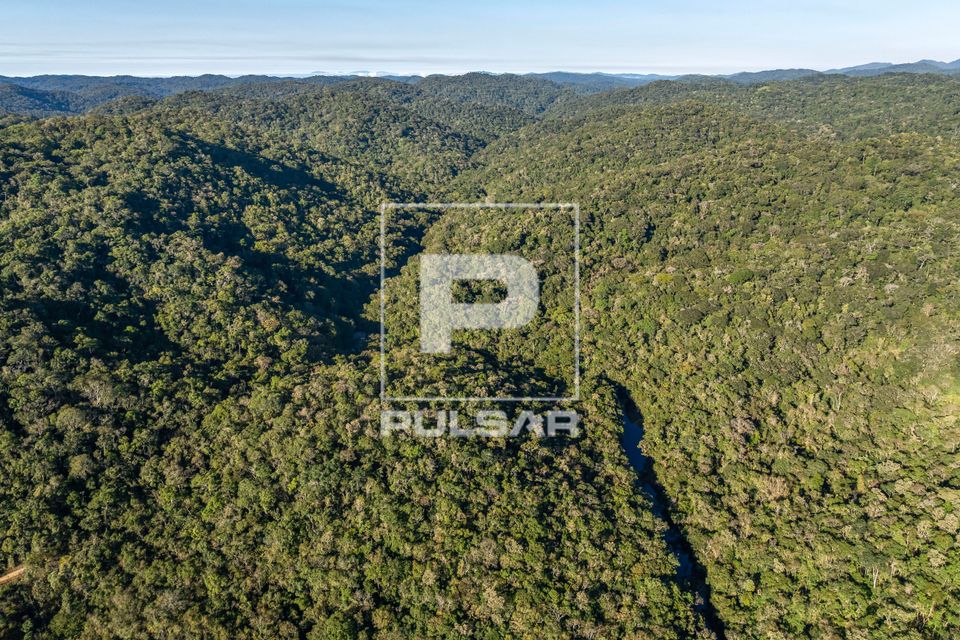 Vista de drone do Parque Estadual da Serra do Mar com destaque curso do rio Paraibuna