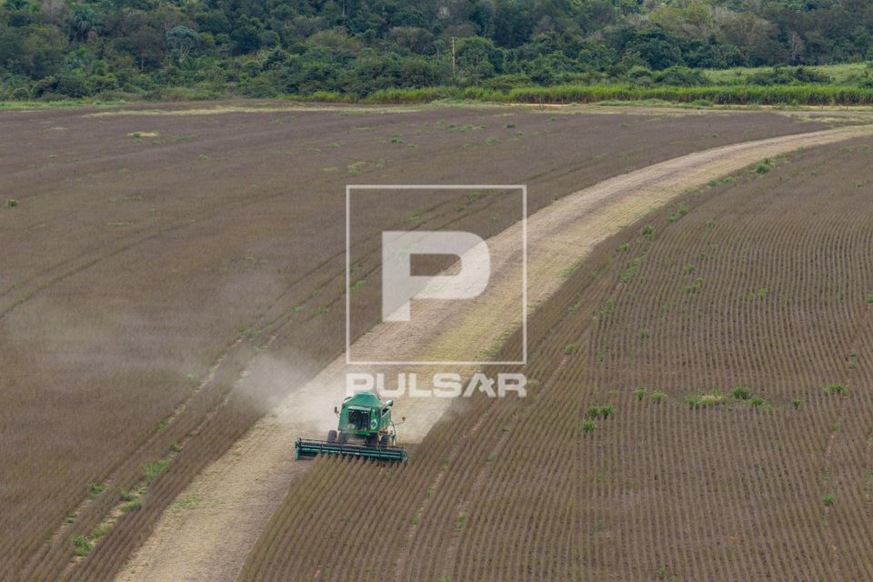 Vista de drone de colheita mecanizada de soja - ao fundo remanescente de Cerrado desmatado