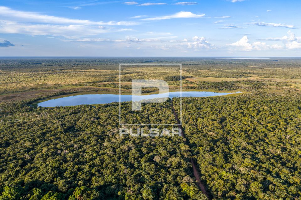 Vista de drone de lagoa - Parque Indígena do Xingu