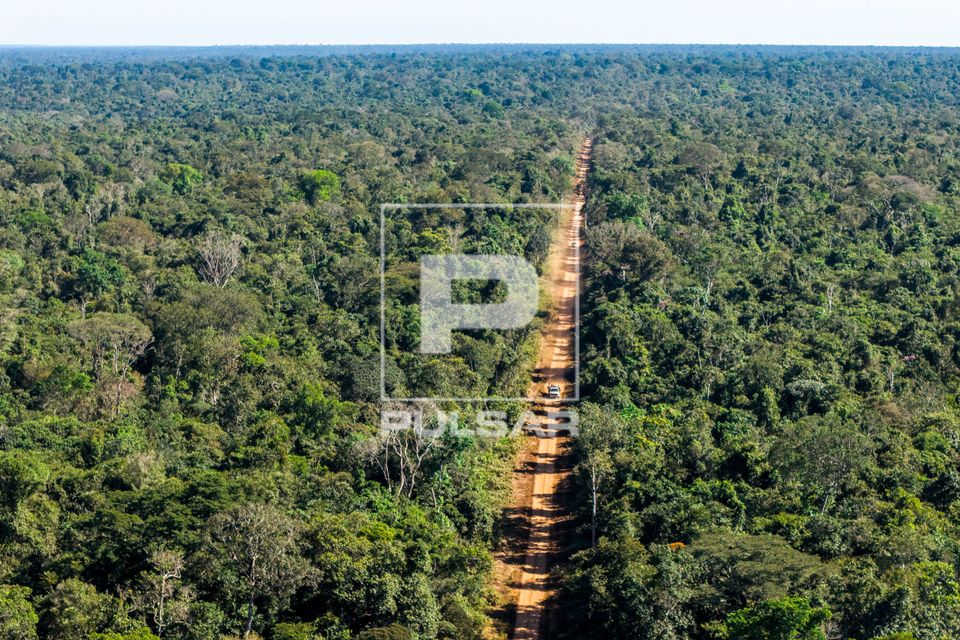 Vista de drone estrada próxima da Aldeia Tanguro da etnia Kalapalo - Parque Indígena do Xingu