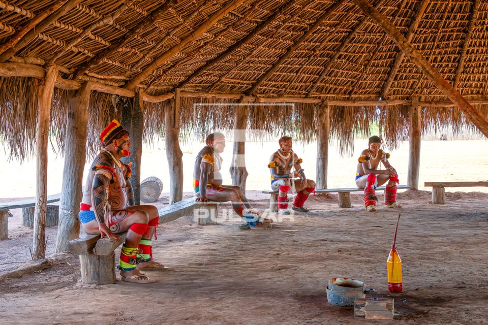 Indígenas da etnia Kuikuro preparados para a dança Tawarawanã - aldeia Ipatsé - Parque Indígena do Xingu
