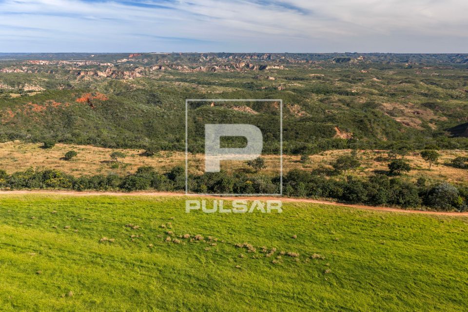 Pastagem em área desmatada em contraste com formações rochosas em arenito e vegetação de cerrado nativo a