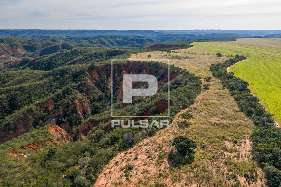 Vão do Buraquinho com ravinas e formações erosivas em solo arenítico cercadas por vegetação de cerrado -