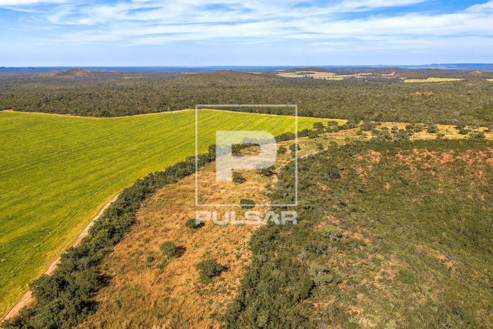 Vão do Buraquinho com formações rochosas em arenito e vegetação de cerrado nativo - contraste com pastage