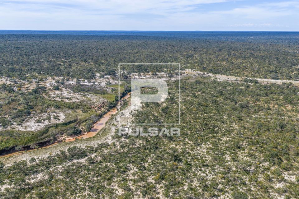 Rio Catarina e vegetação de cerrado na RDS Reserva de Desenvolvimento Sustentável Veredas do Acari