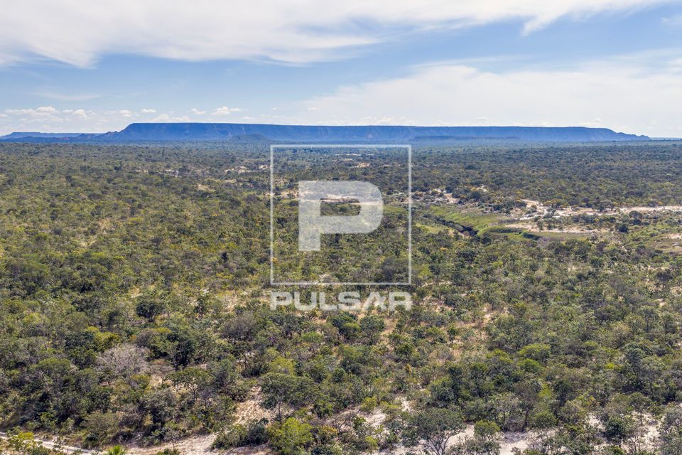 Vegetação de cerrado na RDS Reserva de Desenvolvimento Sustentável Veredas do Acari - Serra das Araras ao f